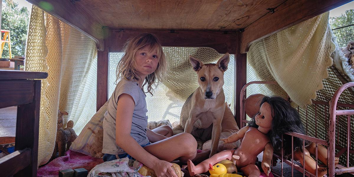 “Don’t Let’s Go to the Dogs Tonight”: A Cinematic Masterpiece Through a Child’s Eyes